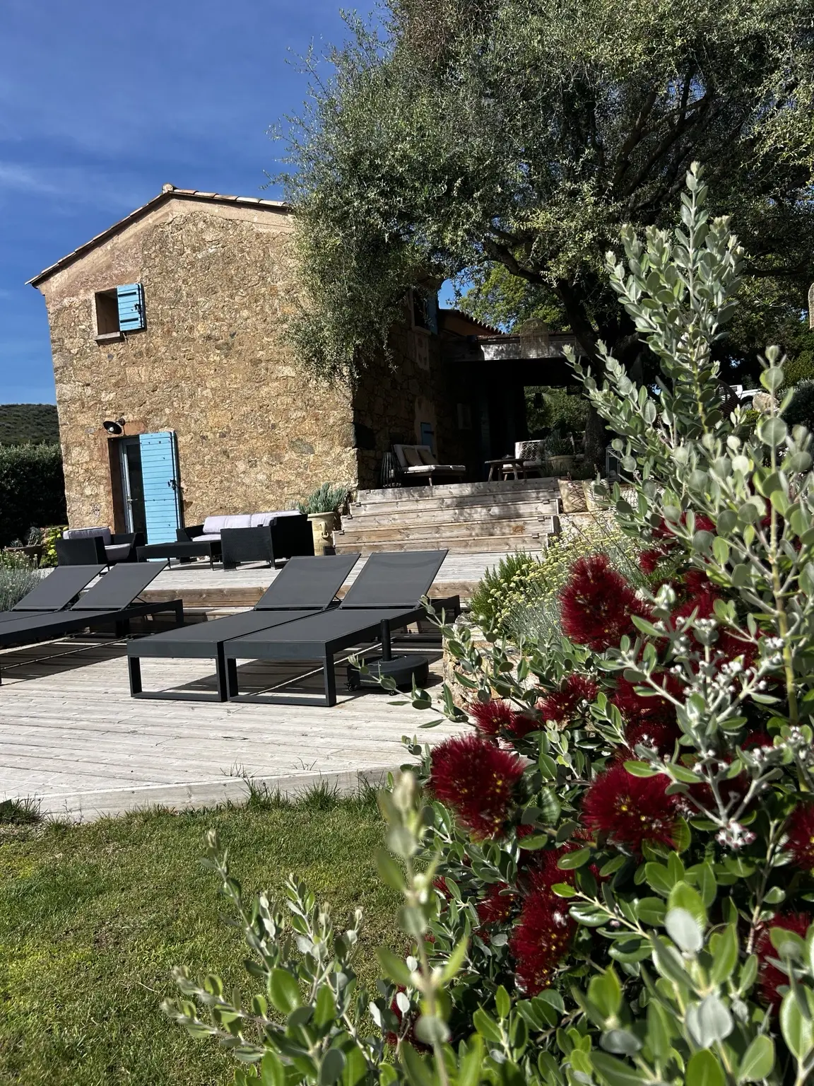 Façade en pierre derrière les fleurs du jardin