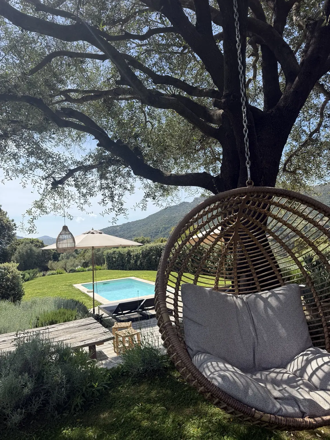 Fauteuil suspendu sous l’olivier face à la piscine privée