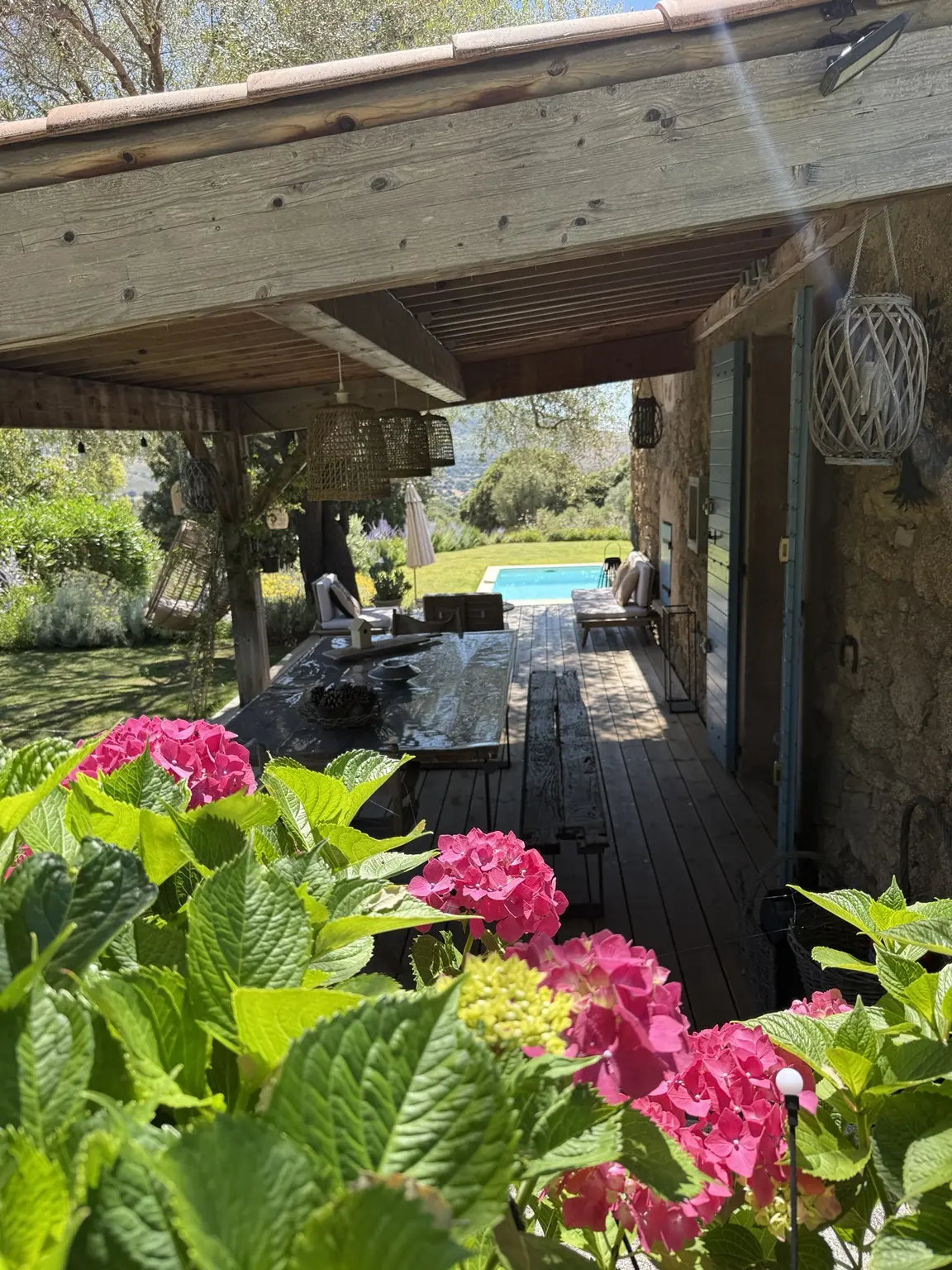 Terrasse couverte et piscine derrière les hortensias du jardin