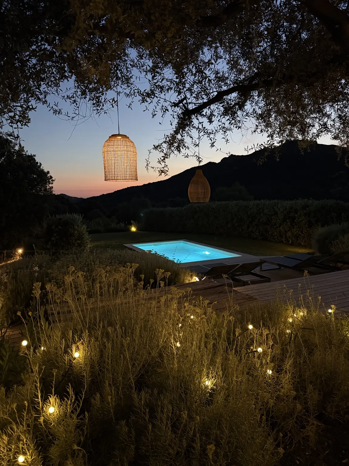 Piscine privée illuminée le soir dans le jardin de la bergerie à Alata