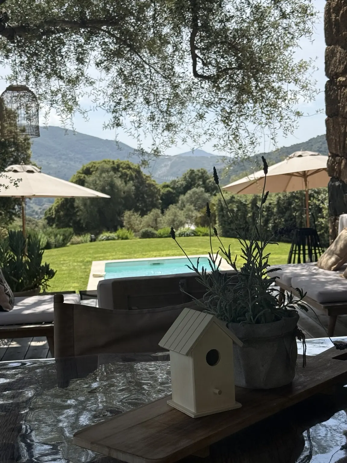 Vue sur la piscine et les collines depuis la terrasse couverte